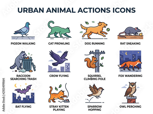 A grid of 12 vectorstyle icons depicting urban animals in specific actions with corresponding labels