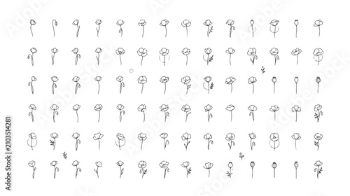Canvastavla タンポポの成長段階、開花から綿毛までを捉えた手描き風の線画イラストセット。生命のサイクルを表現した植物のベクター素材、教育コンテンツやデザインプロジェクトに最適