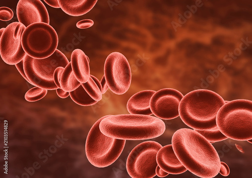 Numerous human red blood cells floating in the bloodstream in a microscopic environment
