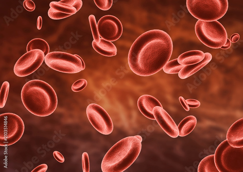 Group human red blood cells in the bloodstream microscopic view