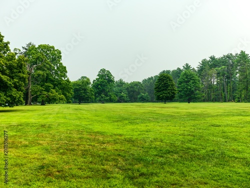 green field and blue sky