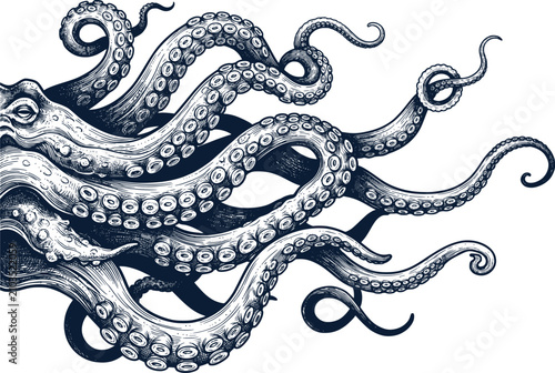 Vintage octopus tentacles engraving, hand drawn kraken sea monster illustration, nautical navy blue cephalopod sketch, antique marine life vector