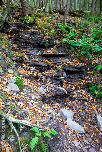 Konstfotografi Creek running on rocks at Leonard Harrison State Park