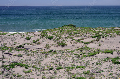 夏の海。限りなく澄みわたる大空と大海原。聞こえてくるのは潮騒だけ。そして海の匂い。裸足になって砂浜を歩いてみた。程よい暖かさが足裏に伝わってきた。今日は凪。今日の太平洋はゆったりと大らかに広がっている。寄せては引き返す波打ち際。大海原を前にただ眺めているだけ。私はこの大空間を、今、独り占めにしている。この贅沢、この至福の時。わずらわしいすべてのことを忘れて、ただ、海を眺めている。