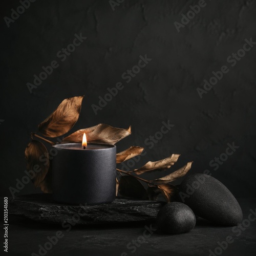 Premium candle still life with dried leaves