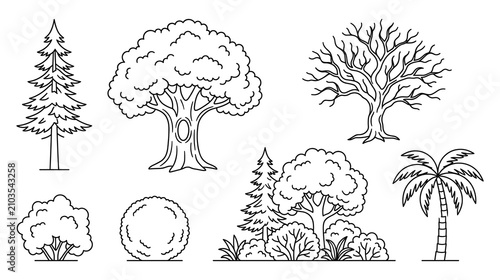 Outline illustrations of various trees shrubs and plants in different seasons.