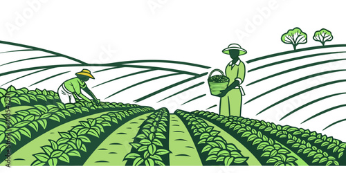 Obraz na płótnie Workers in green hats harvesting tea leaves on terraced hillside tea plantation