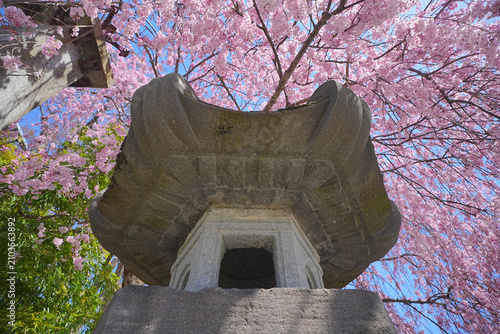 桜山神社