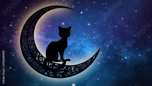 Synopsis of a whimsical story featuring a feline on the moon.