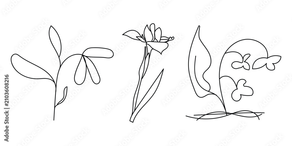 Naklejka premium Minimalist line art floral elements and wild plant vector set
