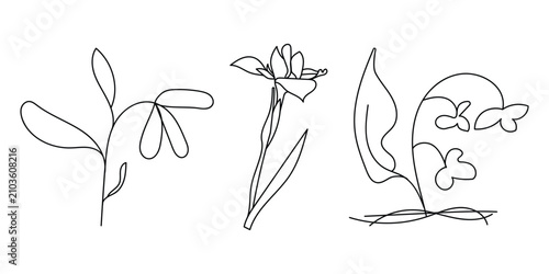 Minimalist line art floral elements and wild plant vector set