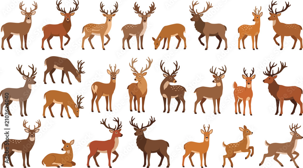 Obraz premium Deer and Stag Wildlife Collection with Buck Fawn Antlers and Forest Animal Vector Set