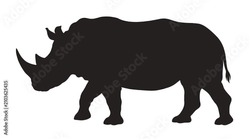 rhino isolated on white background