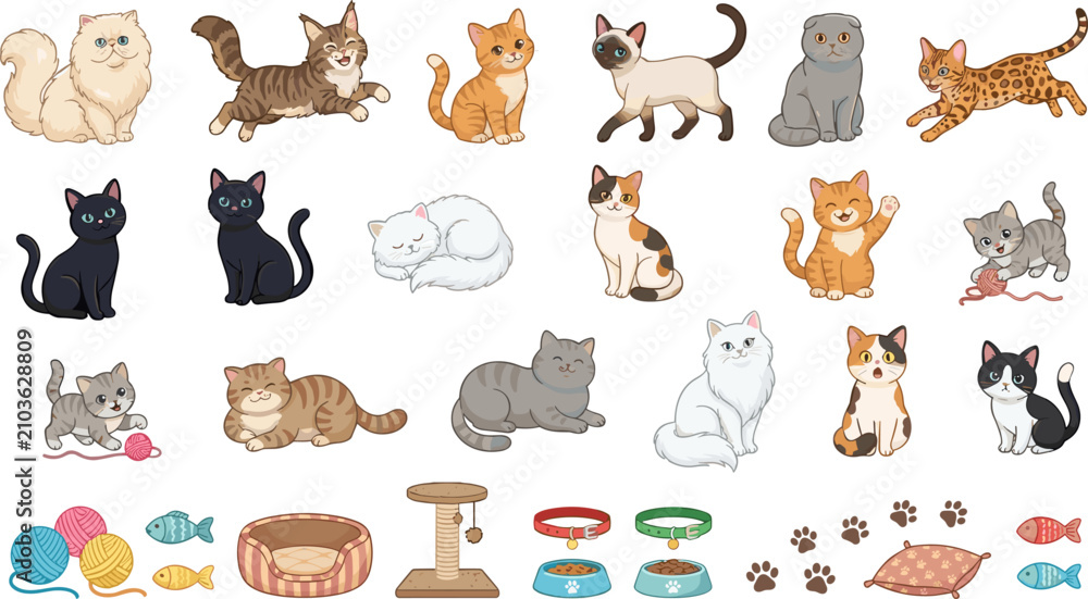Fototapeta premium Cute Cartoon Cat Breed Vector Illustration Set Featuring Persian Siamese Bengal Tabby Calico Kittens with Toy Balls Scratching Post and Pet Care Accessories