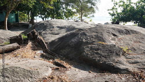 Bild auf Leinwand Wide angle view of massive dark granite rock outcrop standing near green coastal trees