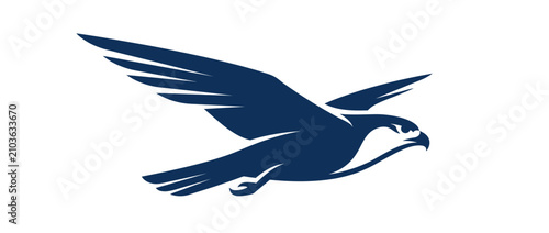 Schilderij op canvas Majestic Bird of Prey Flying Silhouette