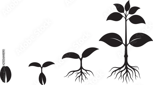 Plant growth cycle silhouette vector, seedling life stages from seed to sprout, botanical development sequence with roots and leaves