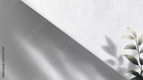 Minimalist Shadows and Plant on White Textured Wall with Natural Light