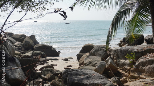 Obraz na plátně Wide angle view of granite rocks framing a bright ocean shoreline framed by palm fronds