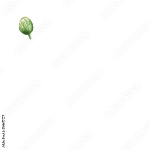 Canvastavla Watercolor daisy flower bud and green sepals element for spring designs