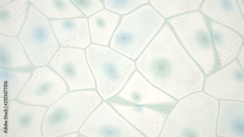 Canvastavla Abstract cellular structure with nuclei