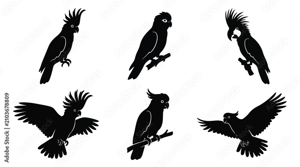 Naklejka premium A set of six cockatoo bird in various poses silhouette vector illustration on a white background