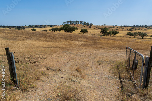 Quadro su tela A weathered wire gate opens onto a dry, golden pastureland dotted with scattered oak trees under a clear blue sky