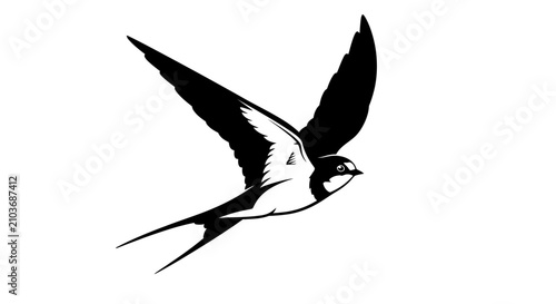 A striking black and white illustration of a swallow bird gracefully soaring with its wings fully extended.