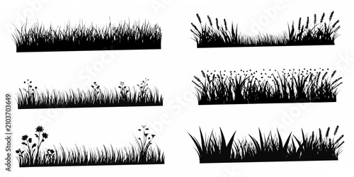 Bild auf Leinwand Black Silhouette Illustrations Of Grass And Wildflowers On White Background