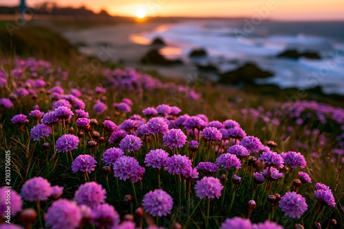 Purple Flowers Bloom by the Ocean Shore During Sunset