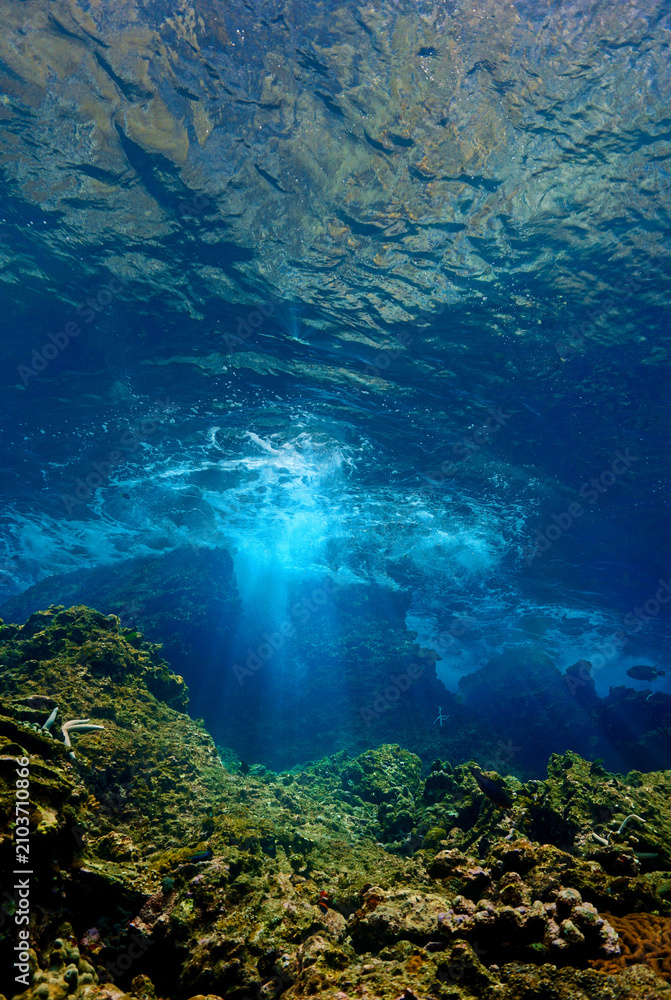 Fototapeta premium Rays of sunlight through the ocean surface. Underwater photo of a dreamlike environment. From a scuba dive.