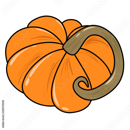 Orange pumpkin vector illustration isolated on white background. Perfect for autumn, harvest, Thanksgiving, fall season and Halloween-themed designs.