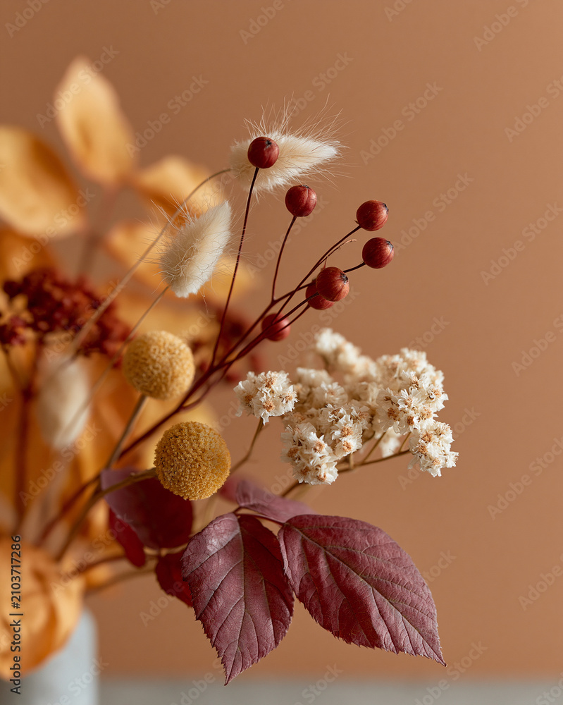 Fototapeta premium Warm-toned dried flowers in soft bokeh. Red berries contrast with fluffy white blooms. Faded leaves add rustic, autumnal texture. Brown background enhances natural, earthy tones