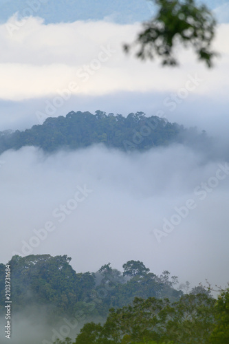 Breathtaking aerial view of misty valleys and lush green tropical rainforest mountains at dawn