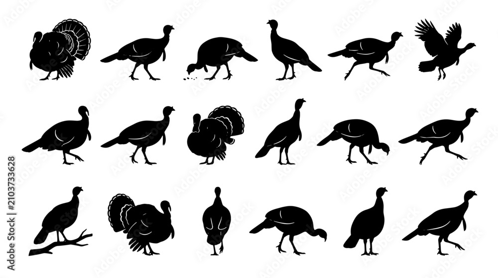 Obraz premium Collection of various bird silhouettes including peacock pigeon and sparrow