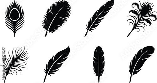 Schilderij op canvas Bird feathers and peacock plume vector silhouettes bundle featuring diverse soft