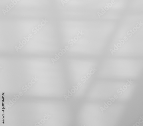 Grey wall shadow background kitchen floor white abstract studio concrete table white texture light texture mockup product marble room display plant cement minimal shelft bar leaves backdrop