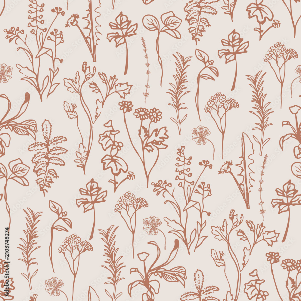 Fototapeta premium Herbarium vintage Botanicals 