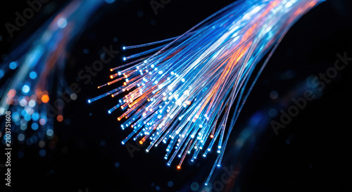 Glowing Optical Fibers Transmitting High Speed Digital Data