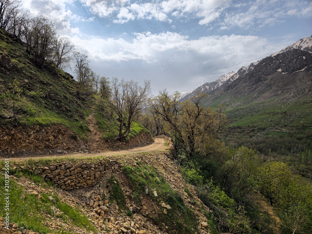 Obraz premium Curving dirt road along a mountainside, lined with dry stone walls, budding trees, distant snow-capped peaks, and a blue sky with scattered clouds. 📍 Hawraman Takht, Kurdistan, Iran 