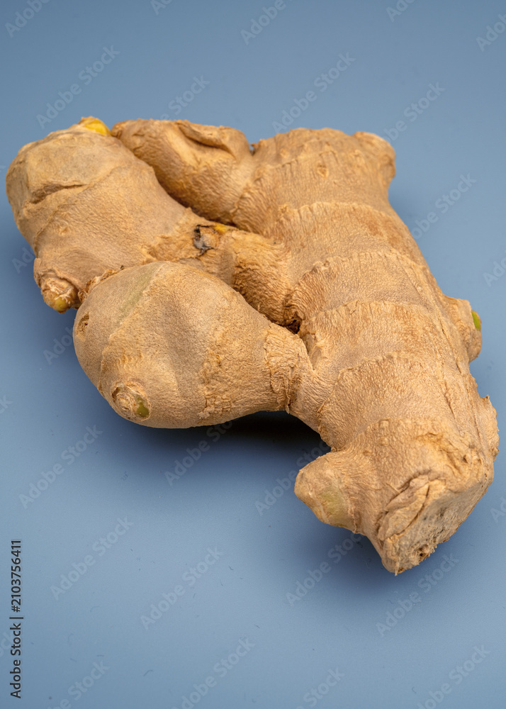 Fototapeta premium Fresh ginger root on a blue background in a simple display
