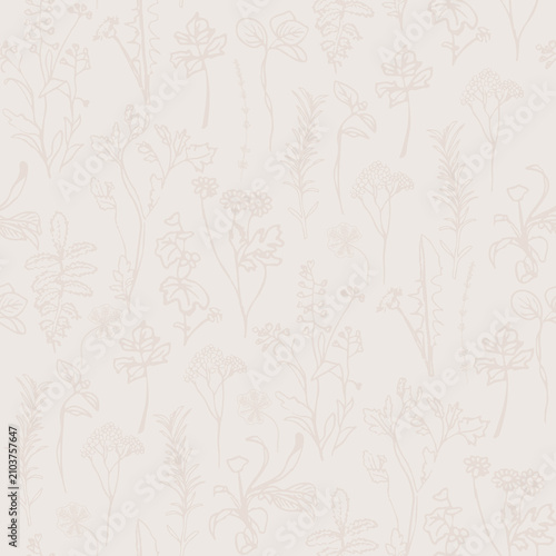 Herbarium vintage Botanicals
