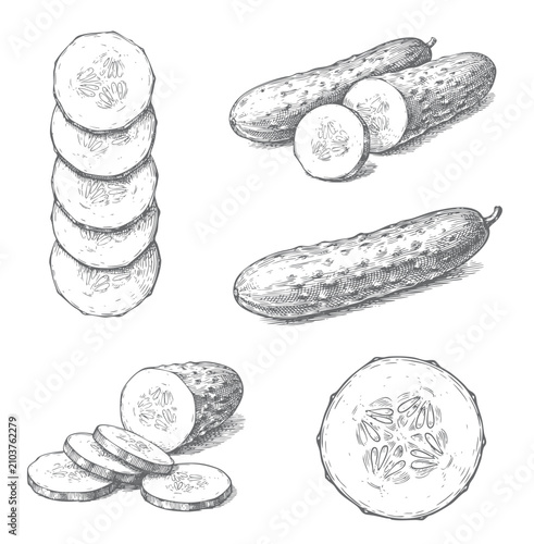 Obraz na płótnie Botanical cucumber artwork with vegetable slices and natural seed texture