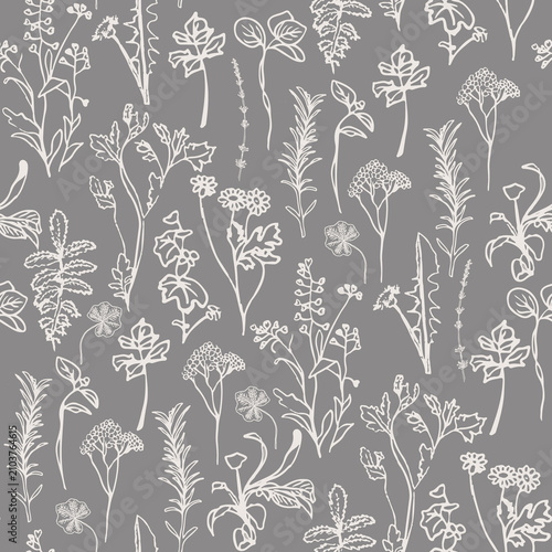 Herbarium vintage Botanicals
