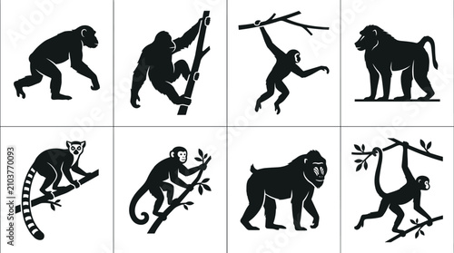 Konstfotografi Monkey and primate species vector silhouettes bundle featuring chimpanzee gorill
