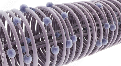 3d render of a purple dna helix with spherical ends, scientific illustration, medical vector art, modern design
