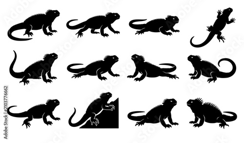Obraz na płótnie Marine Iguana Silhouette Vector Collection for Wildlife and Nature Design