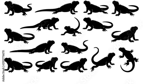 Foto Realistic Marine Iguana Silhouette Bundle Vector Illustration Collection