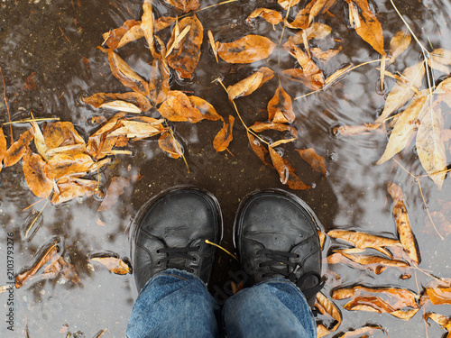 A horizontal top-down shot of a person's black leather boots standing in a rainy puddle filled with fallen yellow autumn leaves.