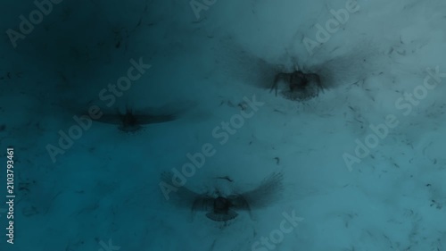 Birds wandering through a dark realm or afterlife. 3d animation built from particles